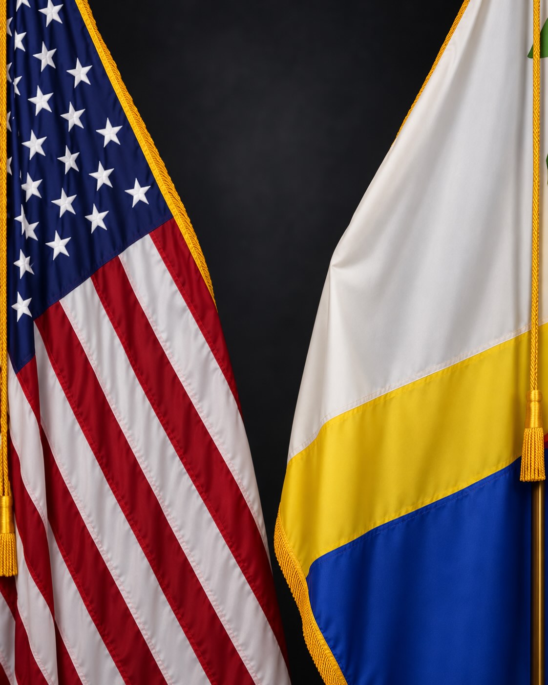 Ceremonial Flags in Studio Light free estate planning seminar in fairfax, virginia